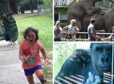 20+ primerov, ko se izlet v živalski vrt sprevrže v tragedijo
